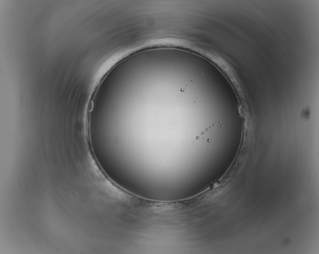 X0000111821199200907301249