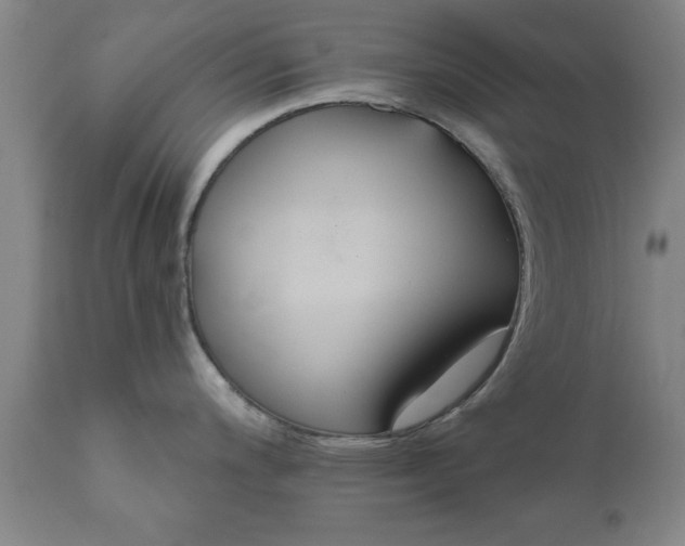 X0000111821200200907301249