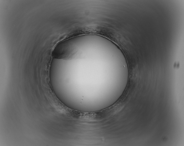 X0000111821201200907301249