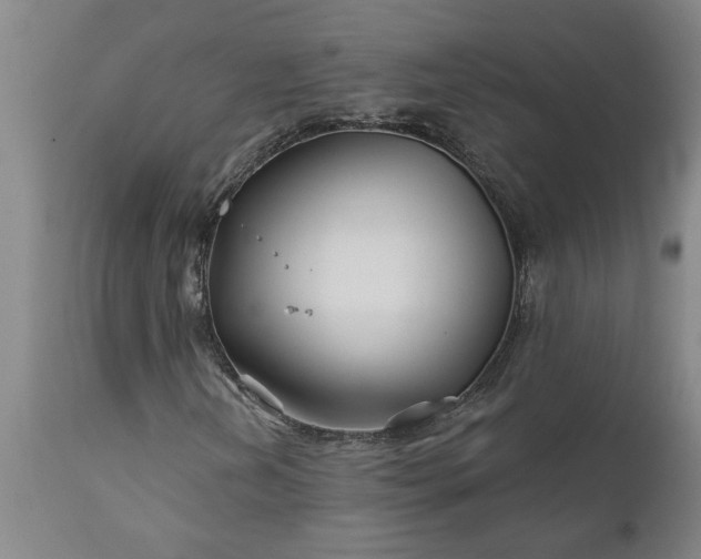 X0000111821202200907301249