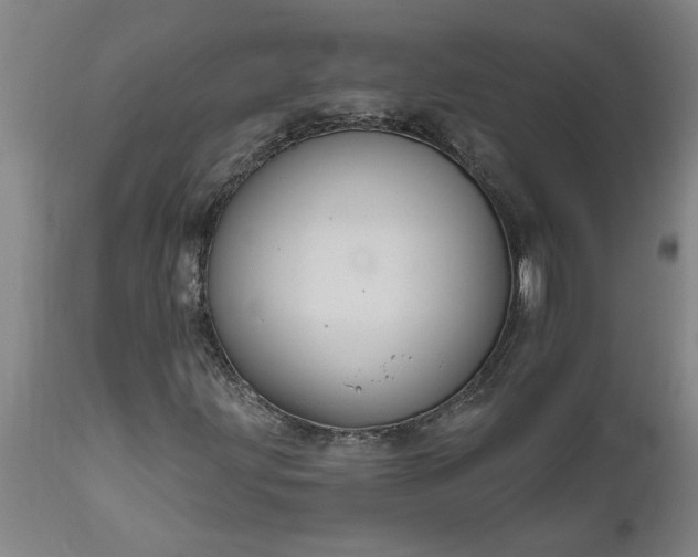X0000111821203200907301249