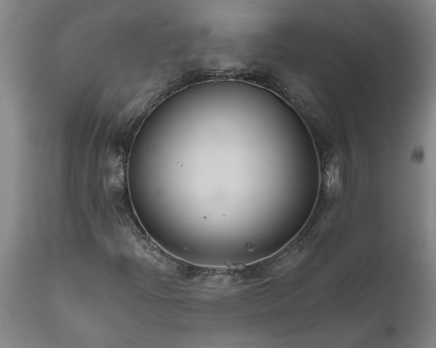 X0000111821204200907301249