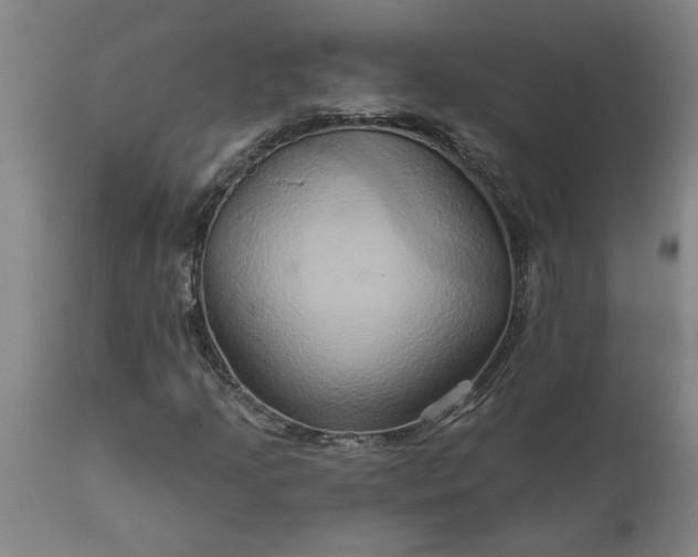 X0000111821205200907301249