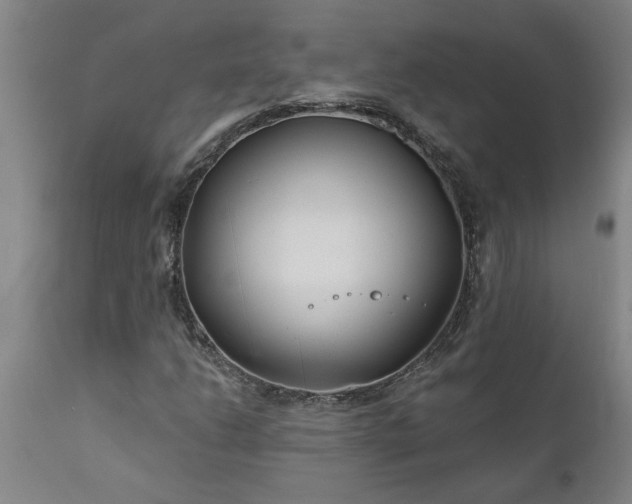 X0000111821206200907301249