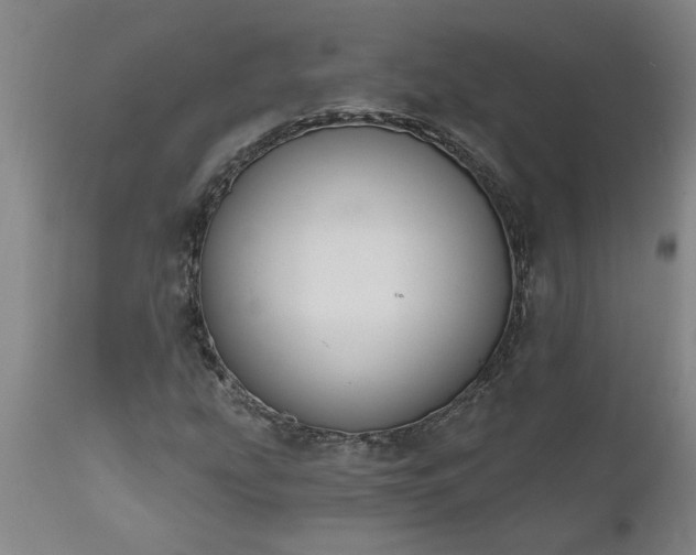 X0000111821207200907301249