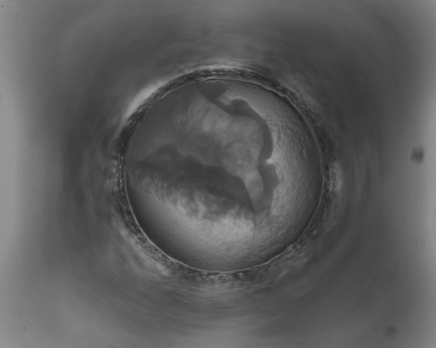 X0000111821208200907301249