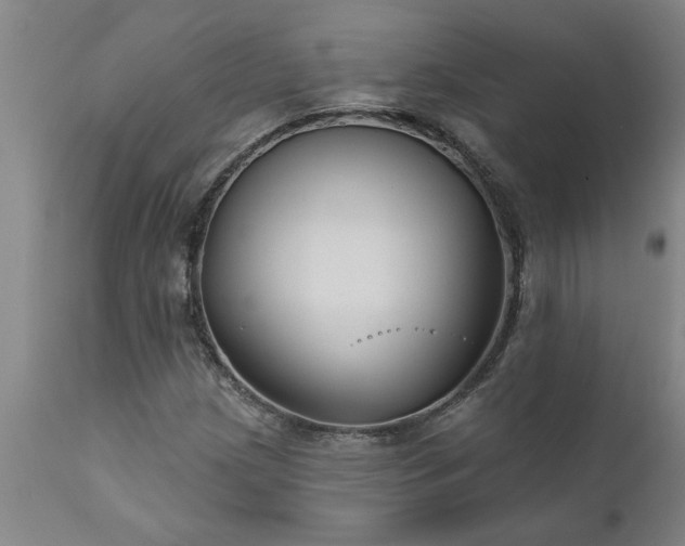 X0000111821209200907301249