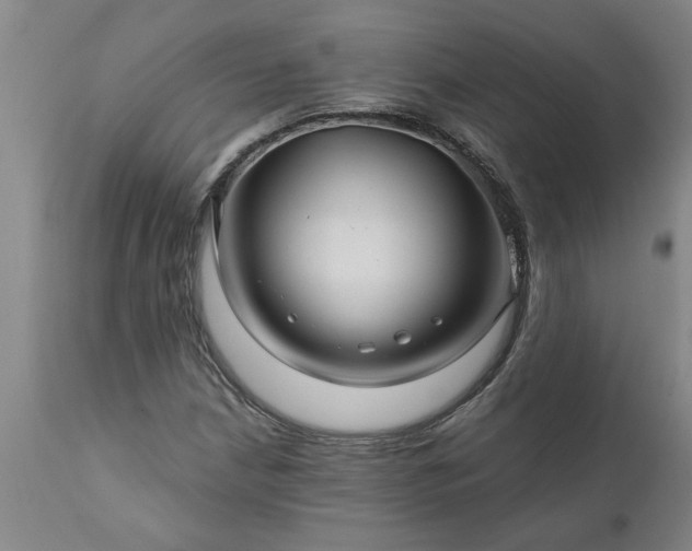X0000111821210200907301249
