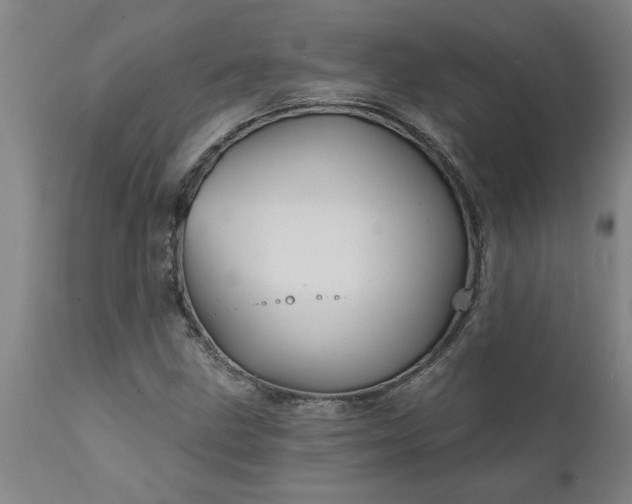 X0000111821211200907301249