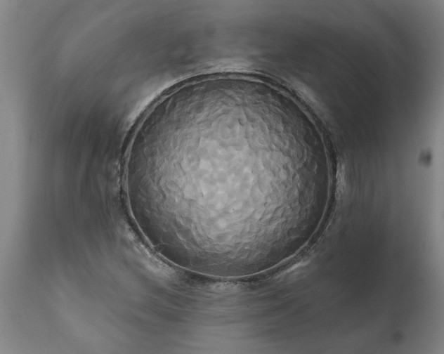 X0000111821212200907301249