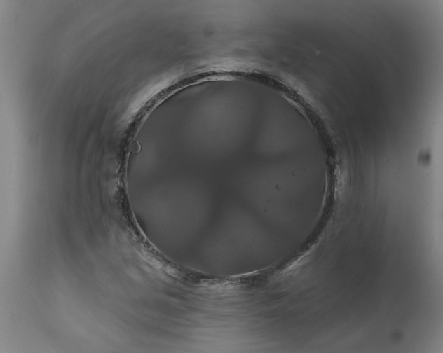 X0000111821213200907301249