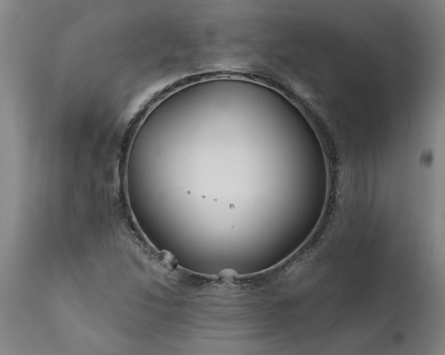 X0000111821214200907301249