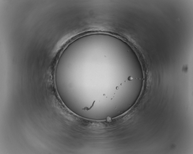 X0000111821215200907301249