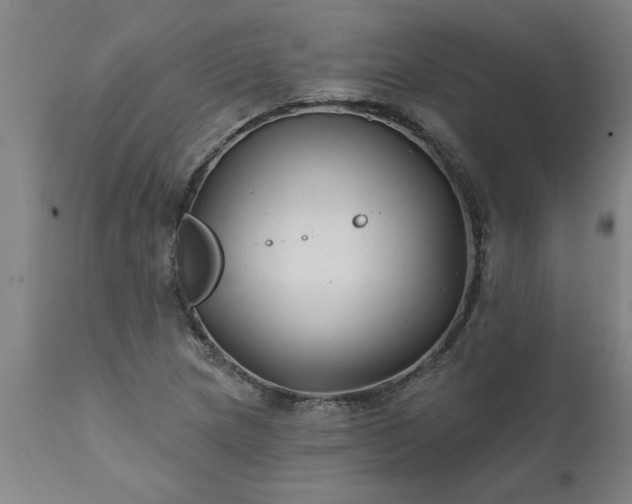 X0000111821217200907301249