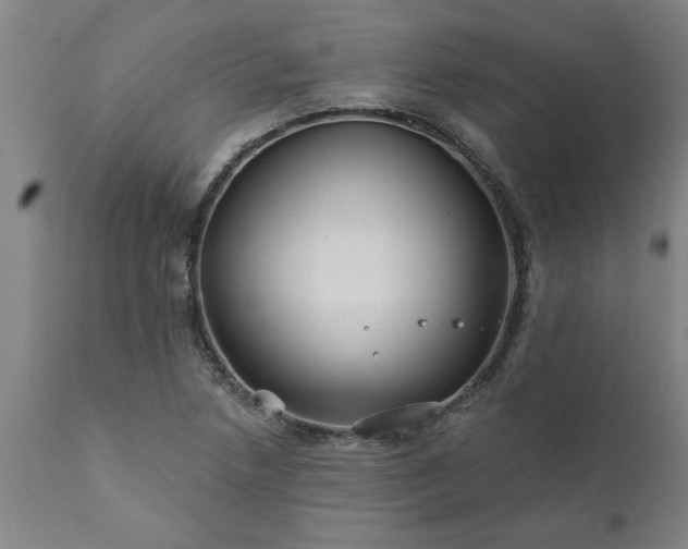 X0000111821218200907301249