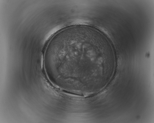 X0000111821219200907301249
