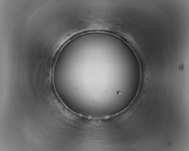 X0000111821220200907301249