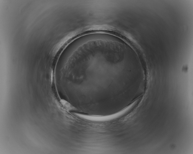 X0000111821221200907301249