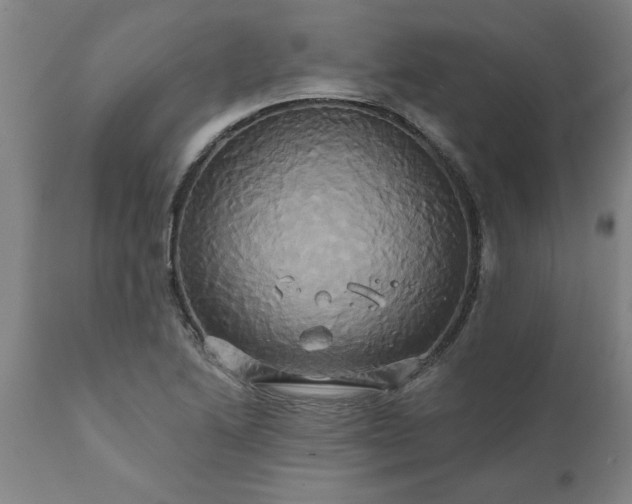 X0000111821222200907301249