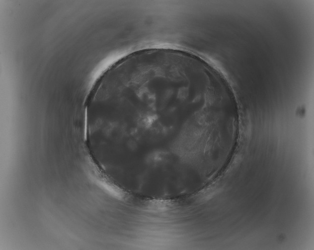 X0000111821223200907301249