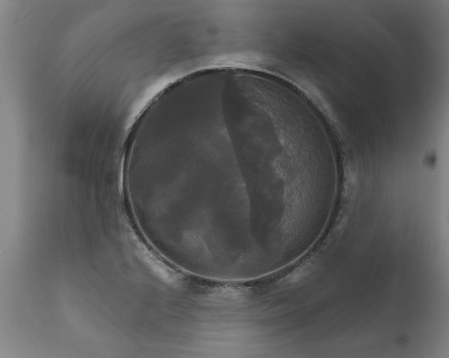 X0000111821224200907301249