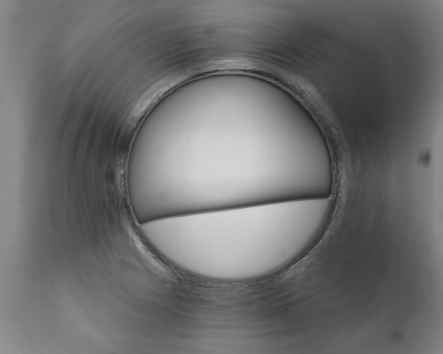X0000111821225200907301249