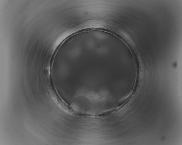 X0000111821226200907301249