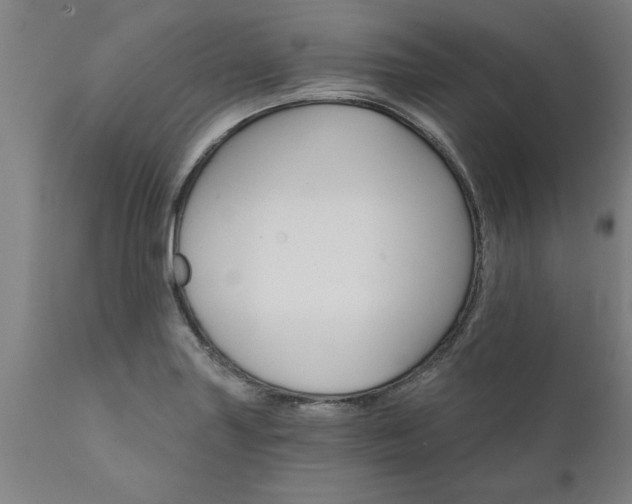 X0000111821227200907301249