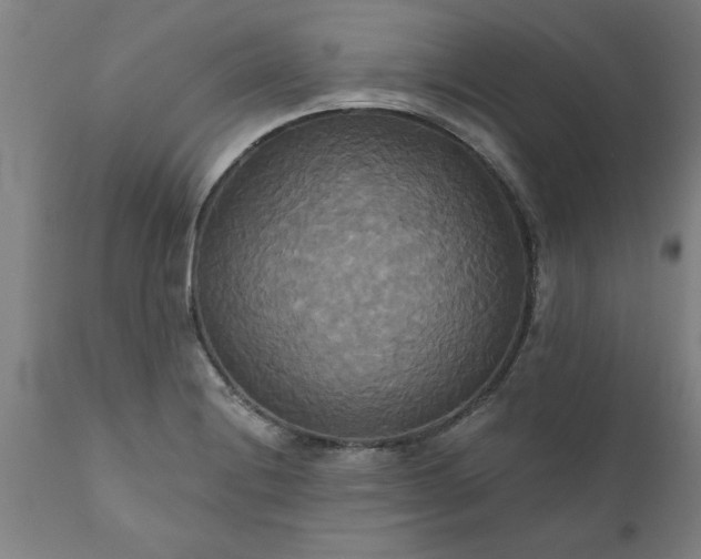 X0000111821228200907301249