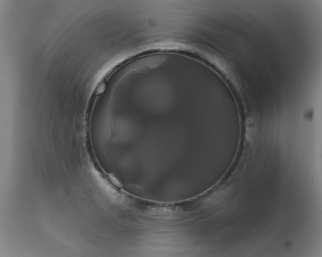 X0000111821229200907301249