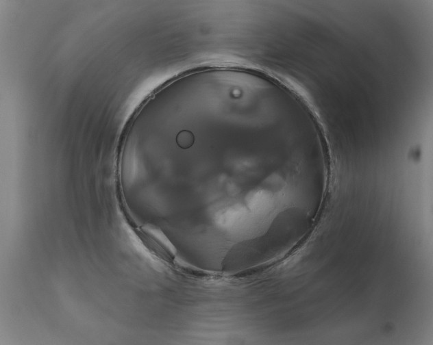 X0000111821231200907301249