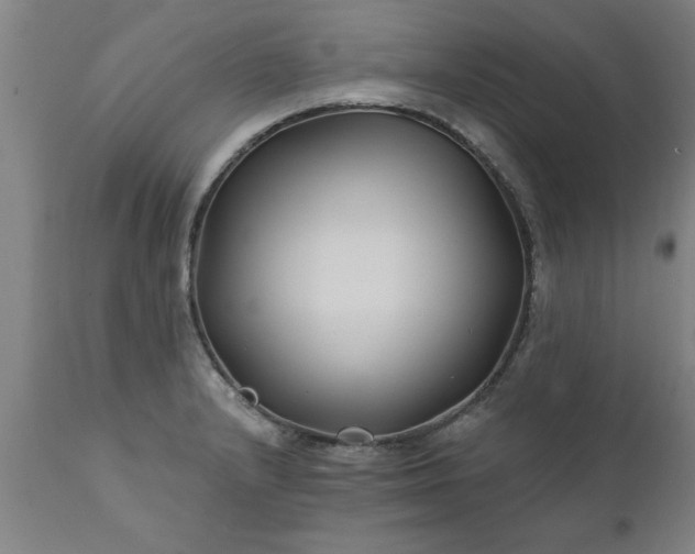 X0000111821232200907301249
