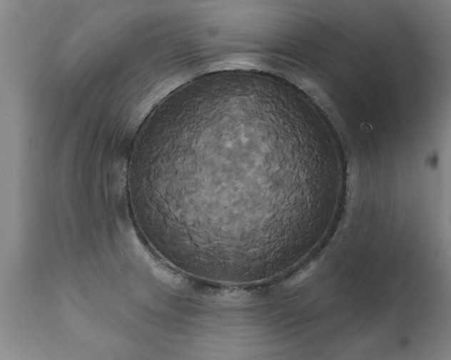 X0000111821233200907301249