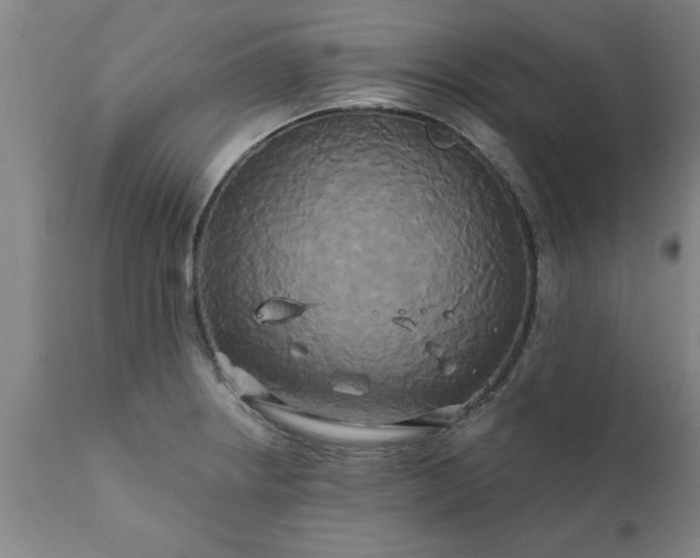 X0000111821234200907301249