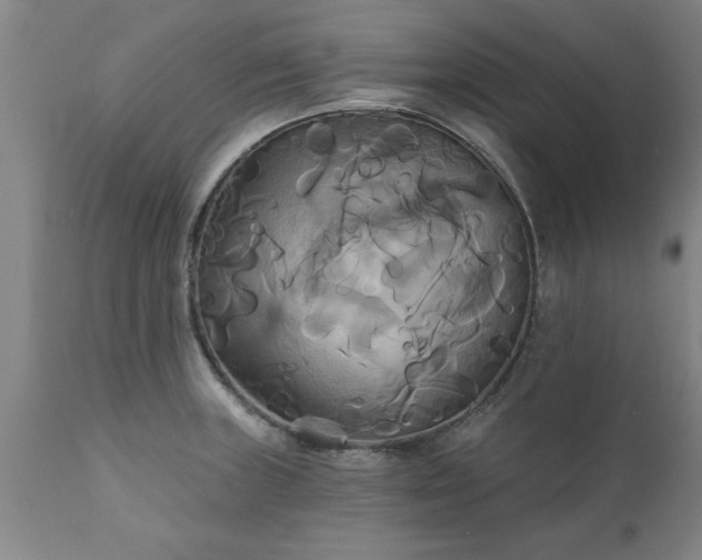 X0000111821235200907301249