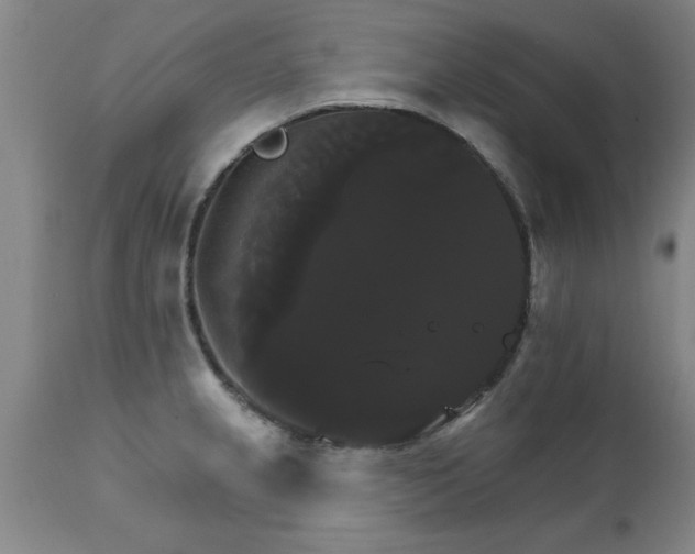 X0000111821237200907301249
