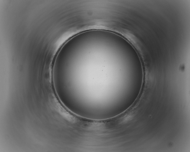 X0000111821238200907301249