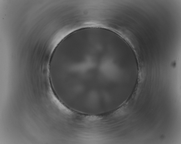 X0000111821239200907301249