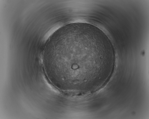 X0000111821241200907301249