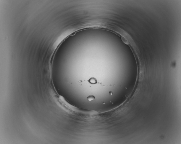 X0000111821242200907301249