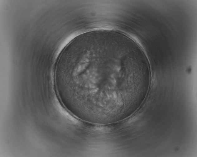 X0000111821243200907301249