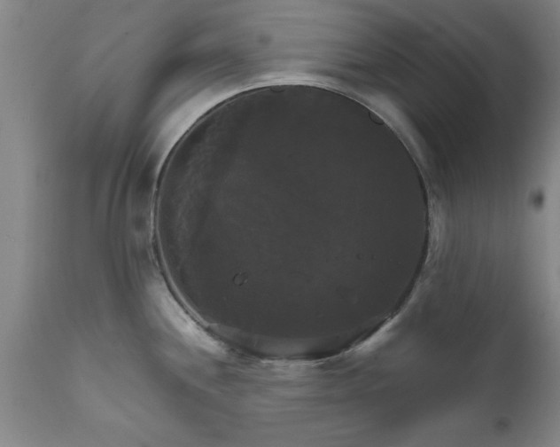 X0000111821244200907301249