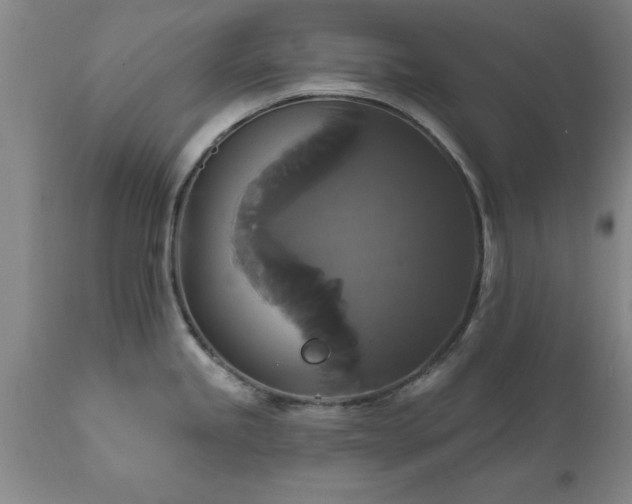 X0000111821245200907301249