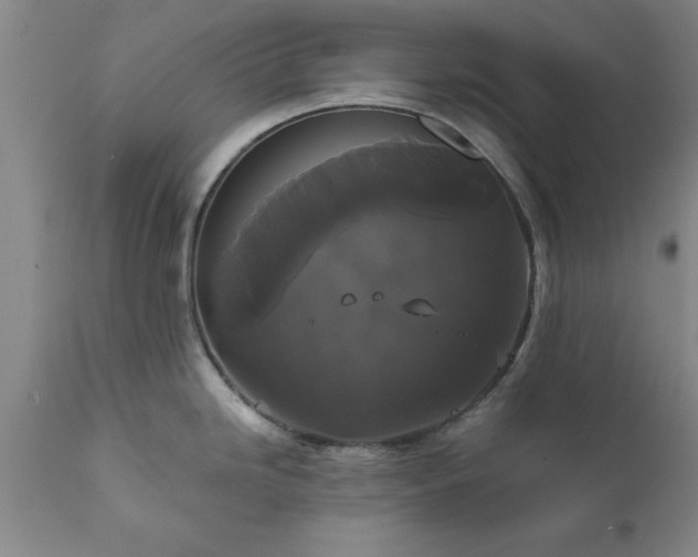 X0000111821246200907301249