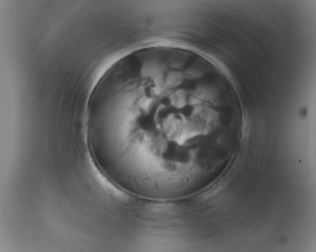 X0000111821247200907301249