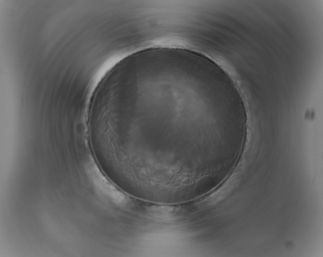 X0000111821248200907301249