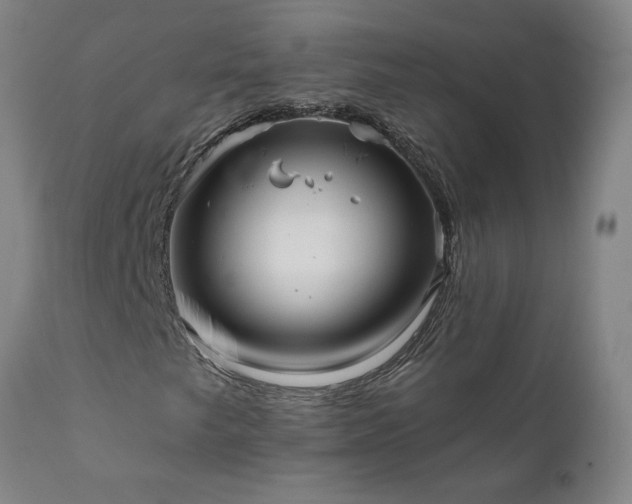 X0000111821249200907301249