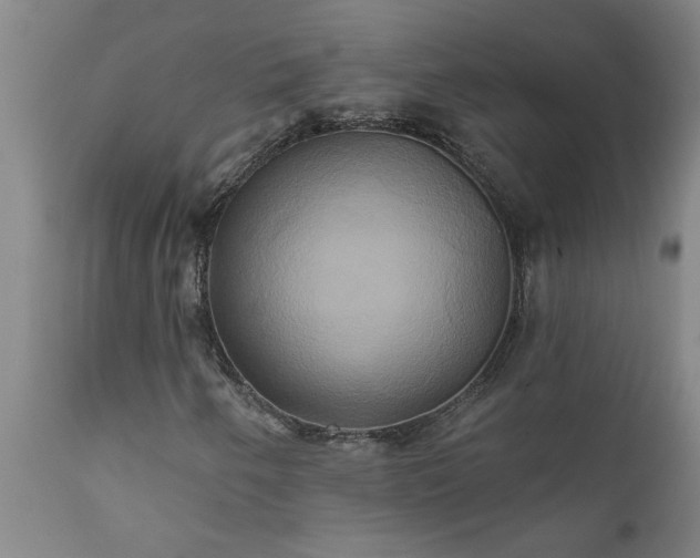 X0000111821250200907301249
