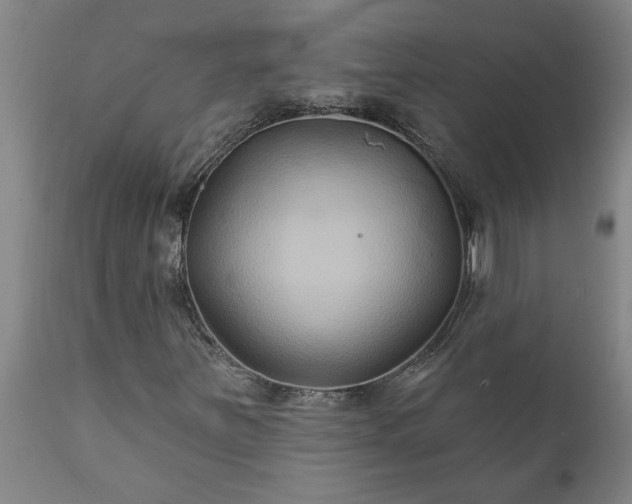 X0000111821251200907301249