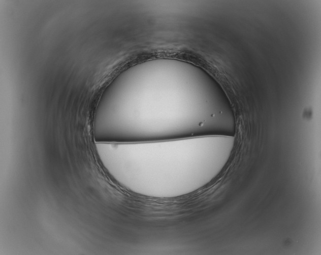 X0000111821252200907301249
